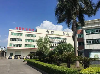 东莞市金娃食品工业有限公司（监控、电话、门禁、视频会议系统）