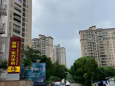东方华府（监控、防盗系统）