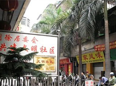 虎门则徐社区东兴文明小区（道路监控、治安监控系统）