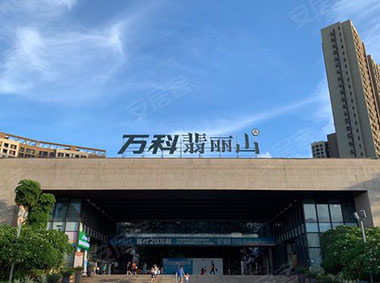 万科.翡丽山（监控系统、机房改造、可视对讲系统、梯控系统）